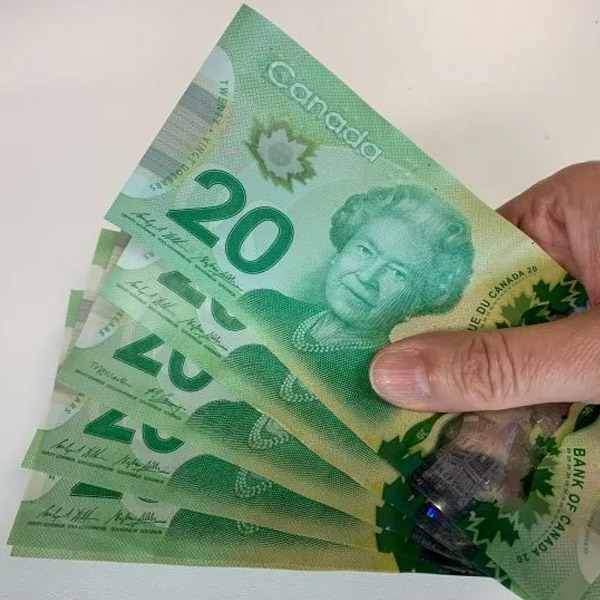 20 Canadian Dollar